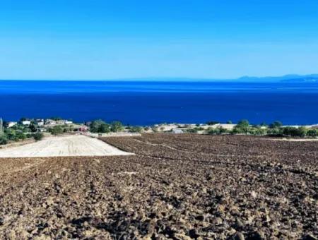 Tekirdağ Barbrosta Acil Satılık Yatırımcısına Yüksek Kazanç Garantisi 44 Dairelik Kooparetif Ve Site Yapımına Uygun Arazi