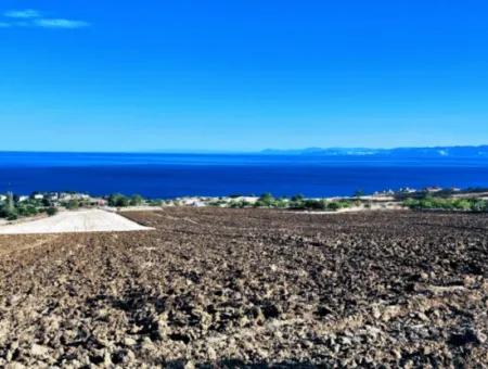 Tekirdağ Barbrosta Acil Satılık Yatırımcısına Yüksek Kazanç Garantisi 44 Dairelik Kooparetif Ve Site Yapımına Uygun Arazi