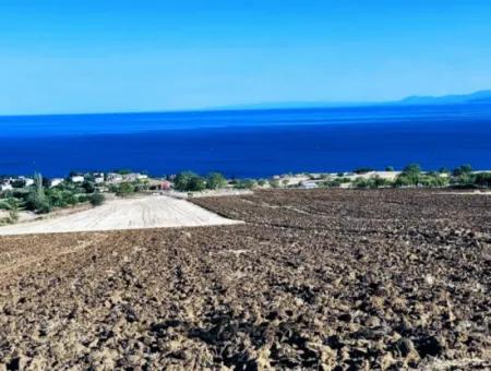 Tekirdağ Barbrosta Acil Satılık Yatırımcısına Yüksek Kazanç Garantisi 44 Dairelik Kooparetif Ve Site Yapımına Uygun Arazi