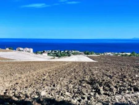 Tekirdağ Barbrosta Acil Satılık Yatırımcısına Yüksek Kazanç Garantisi 44 Dairelik Kooparetif Ve Site Yapımına Uygun Arazi