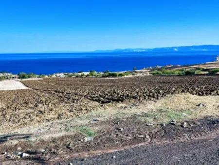 Tekirdağ Barbrosta Acil Satılık Yatırımcısına Yüksek Kazanç Garantisi 44 Dairelik Kooparetif Ve Site Yapımına Uygun Arazi
