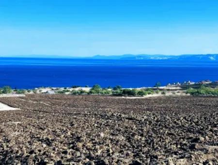 Tekirdağ Barbrosta Acil Satılık Yatırımcısına Yüksek Kazanç Garantisi 44 Dairelik Kooparetif Ve Site Yapımına Uygun Arazi