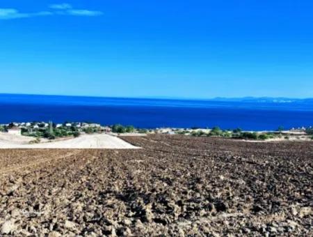 Tekirdağ Barbrosta Acil Satılık Yatırımcısına Yüksek Kazanç Garantisi 44 Dairelik Kooparetif Ve Site Yapımına Uygun Arazi