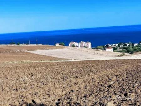 Tekirdağ Barbrosta Acil Satılık Yatırımcısına Yüksek Kazanç Garantisi 44 Dairelik Kooparetif Ve Site Yapımına Uygun Arazi
