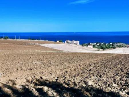 Tekirdağ Barbrosta Acil Satılık Yatırımcısına Yüksek Kazanç Garantisi 44 Dairelik Kooparetif Ve Site Yapımına Uygun Arazi