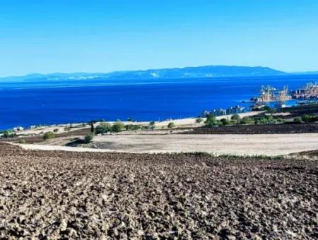 Tekirdağ Barbrosta Acil Satılık Yatırımcısına Yüksek Kazanç Garantisi 44 Dairelik Kooparetif Ve Site Yapımına Uygun Arazi