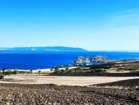 Tekirdağ Barbrosta Acil Satılık Yatırımcısına Yüksek Kazanç Garantisi 44 Dairelik Kooparetif Ve Site Yapımına Uygun Arazi