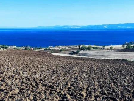 Tekirdağ Barbrosta Acil Satılık Yatırımcısına Yüksek Kazanç Garantisi 44 Dairelik Kooparetif Ve Site Yapımına Uygun Arazi