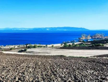Tekirdağ Barbrosta Acil Satılık Yatırımcısına Yüksek Kazanç Garantisi 44 Dairelik Kooparetif Ve Site Yapımına Uygun Arazi
