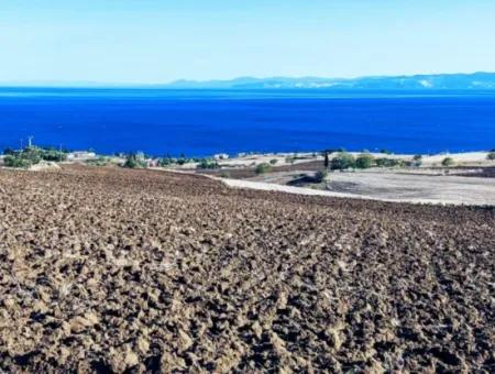 Tekirdağ Barbrosta Acil Satılık Yatırımcısına Yüksek Kazanç Garantisi 44 Dairelik Kooparetif Ve Site Yapımına Uygun Arazi