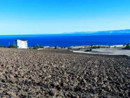 Tekirdağ Barbrosta Acil Satılık Yatırımcısına Yüksek Kazanç Garantisi 44 Dairelik Kooparetif Ve Site Yapımına Uygun Arazi