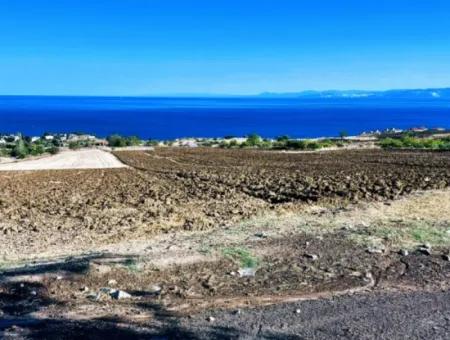Tekirdağ Barbrosta Acil Satılık Yatırımcısına Yüksek Kazanç Garantisi 44 Dairelik Kooparetif Ve Site Yapımına Uygun Arazi