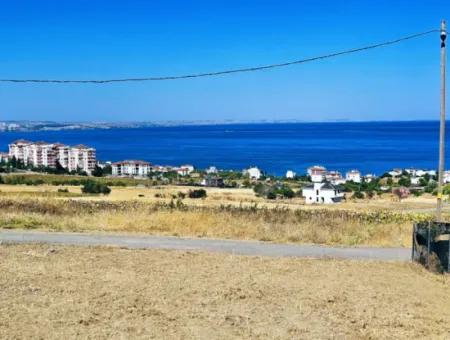 Tekirdağ Barbarosta Acil Satılık Hayelinizdeki Müstakik Evinizi Yapmaya Uygun Fırsat Arsa