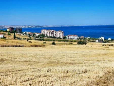 Tekirdağ Barbarosta Acil Satılık Hayelinizdeki Müstakik Evinizi Yapmaya Uygun Fırsat Arsa