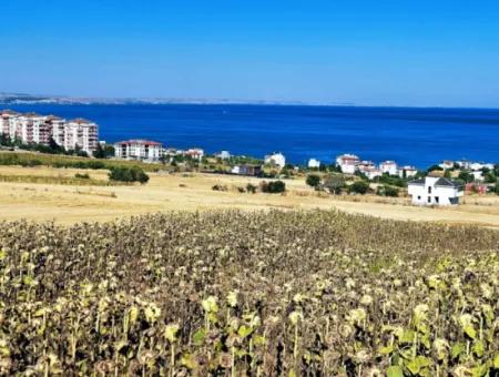Tekirdağ Barbarosta Acil Satılık Hayelinizdeki Müstakik Evinizi Yapmaya Uygun Fırsat Arsa