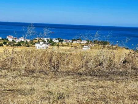 Tekirdağ Barbarosta Acil Satılık Hayelinizdeki Müstakik Evinizi Yapmaya Uygun Fırsat Arsa