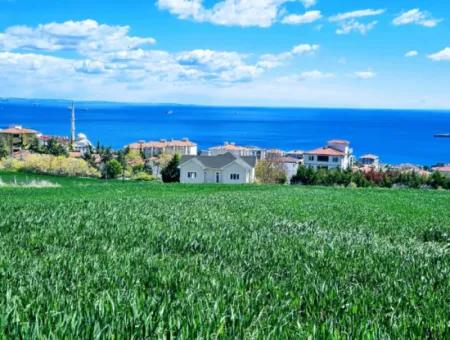 Acil Satılık Tekirdağ Barbarosta 40 Dairelik Full Deniz Manzaralı Konut İmarlı Arazi