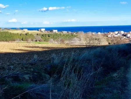 Tekirdağ'ın Süleymanpaşa Barbaros Mevkisinde Bulunan Eşsiz 17.800 M2 Konut İmarlı Arsa