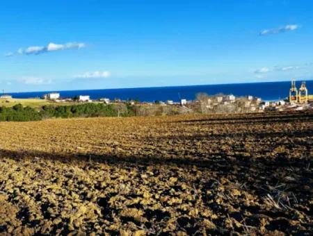 Tekirdağ'ın Süleymanpaşa Barbaros Mevkisinde Bulunan Eşsiz 17.800 M2 Konut İmarlı Arsa