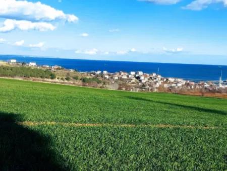 Tekirdağ Barbaros Asyaport Limanına Yakın 17 980 M2 Satılık Tarla