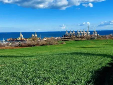 Tekirdağ Barbaros Asyaport Limanına Yakın 17 980 M2 Satılık Tarla