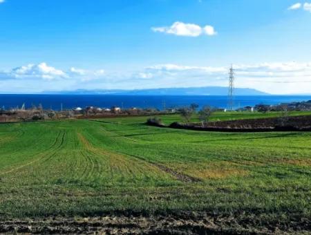 Tekirdağ Barbaros Asyaport Limanına Yakın 17 980 M2 Satılık Tarla