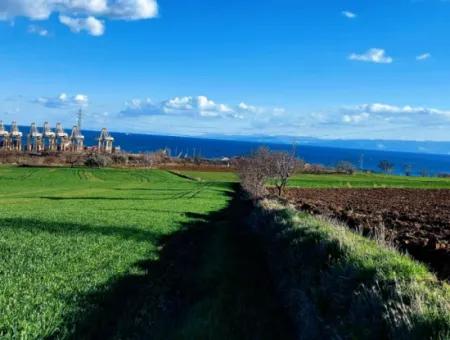 Tekirdağ Barbaros Asyaport Limanına Yakın 17 980 M2 Satılık Tarla