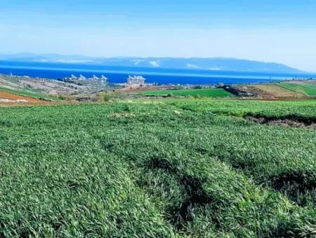 Tekirdağ'ın Nusuratlı Mevkisinde 19.500 Metrekarelik Ticari Ve Sanayi Alanında Satılık Tarla