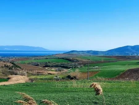 Tekirdağ'ın Nusuratlı Mevkisinde 19.500 Metrekarelik Ticari Ve Sanayi Alanında Satılık Tarla