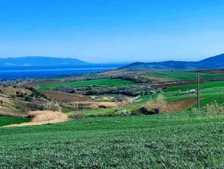 Tekirdağ'ın Nusuratlı Mevkisinde 19.500 Metrekarelik Ticari Ve Sanayi Alanında Satılık Tarla