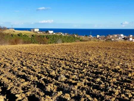 Tekirdağ Barbaros Asyaport Limanına Yakın, Muazzam Manzaralı 17.100 M2 Konut İmarlı Tarla