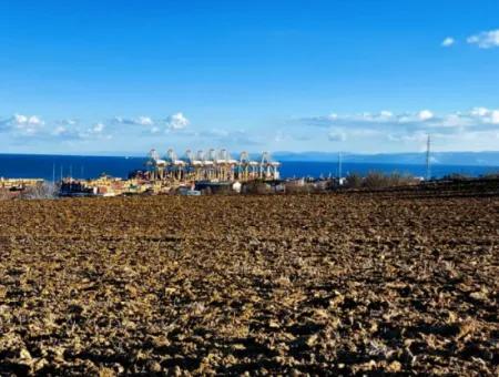 Tekirdağ Barbaros Asyaport Limanına Yakın, Muazzam Manzaralı 17.100 M2 Konut İmarlı Tarla