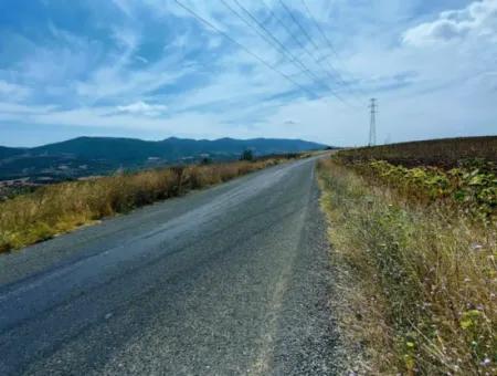 Tekirdağ Çanakçı Mahallesinde Yaz Kış Açık Yol Avantajıyla 10.500 M2 Yatırımlık Tarla! Ailece Piknik, Bağcılık Ve Hobi Bahçesi İçin Harika Fırsat