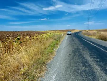 Tekirdağ Çanakçı Mahallesinde Yaz Kış Açık Yol Avantajıyla 10.500 M2 Yatırımlık Tarla! Ailece Piknik, Bağcılık Ve Hobi Bahçesi İçin Harika Fırsat