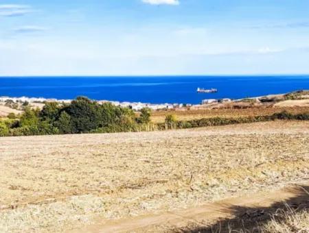 Tekirdağ Barbarosta, 15.500 M2 Full Deniz Ve Doğa Manzaralı Villa İmarlı Yatırım Arsamız!