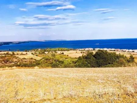 Tekirdağ Barbarosta, 15.500 M2 Full Deniz Ve Doğa Manzaralı Villa İmarlı Yatırım Arsamız!