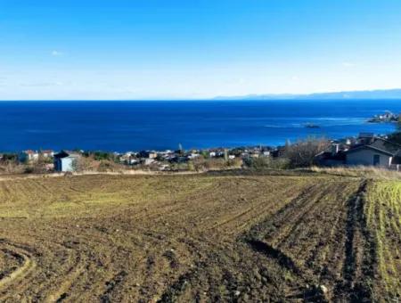 Tekirdağ Barbarosta'da Full Deniz Manzaralı 6.100 M2 Kooperatif Ve Site Yapımına Uygun Yatırım Fırsatı!
