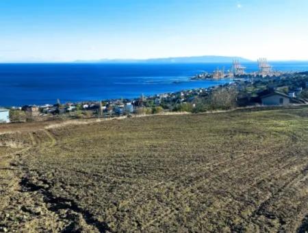 Tekirdağ Barbarosta'da Full Deniz Manzaralı 6.100 M2 Kooperatif Ve Site Yapımına Uygun Yatırım Fırsatı!