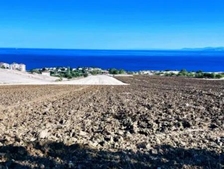 Tekirdağ Topağaç Mahallesinde Acil Satılık Harika Deniz Manzaralı Koopatetif Ve Site Yapımına Uygun Yer