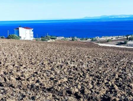Tekirdağ Topağaç Mahallesinde Acil Satılık Harika Deniz Manzaralı Koopatetif Ve Site Yapımına Uygun Yer