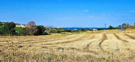 Asyaport Limanına Yakın 615 M2 Kelepir Köşe Arsa